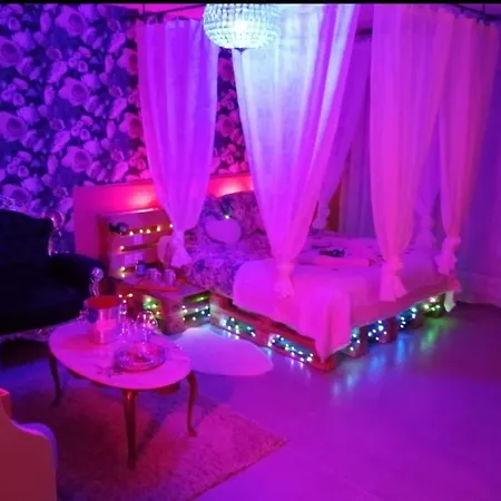 Romantisme Et Glamour 2 Avec Spa , Clim Et Jardin Dijon Exterior foto