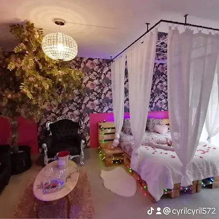Romantisme Et Glamour 2 Avec Spa , Clim Et Jardin Dijon Exterior foto