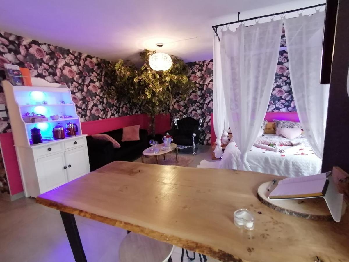 Romantisme Et Glamour 2 Avec , Clim Et Jardin * Dijon