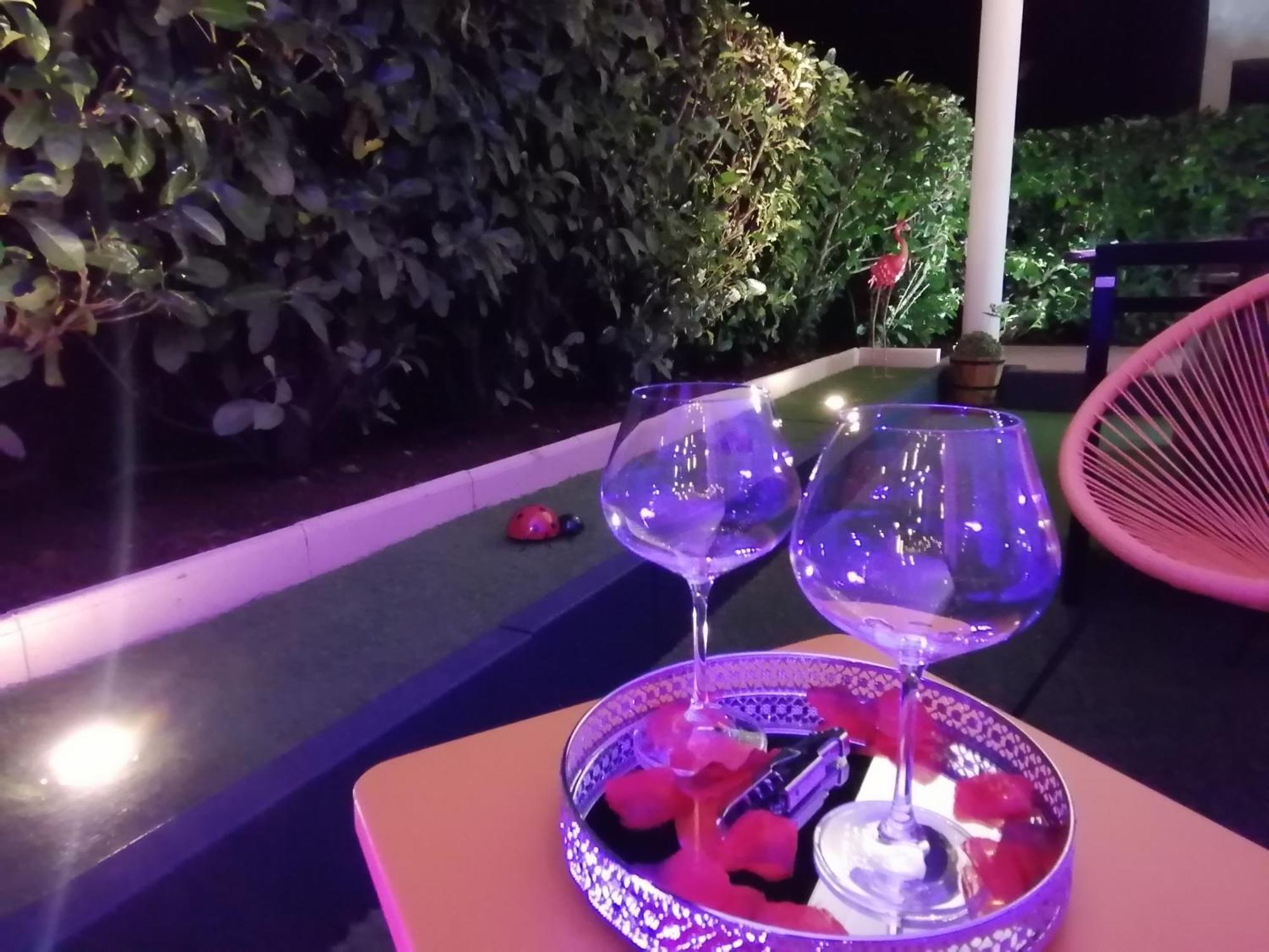 Apartment Romantisme Et Glamour 2 Avec , Clim Et Jardin Dijon
