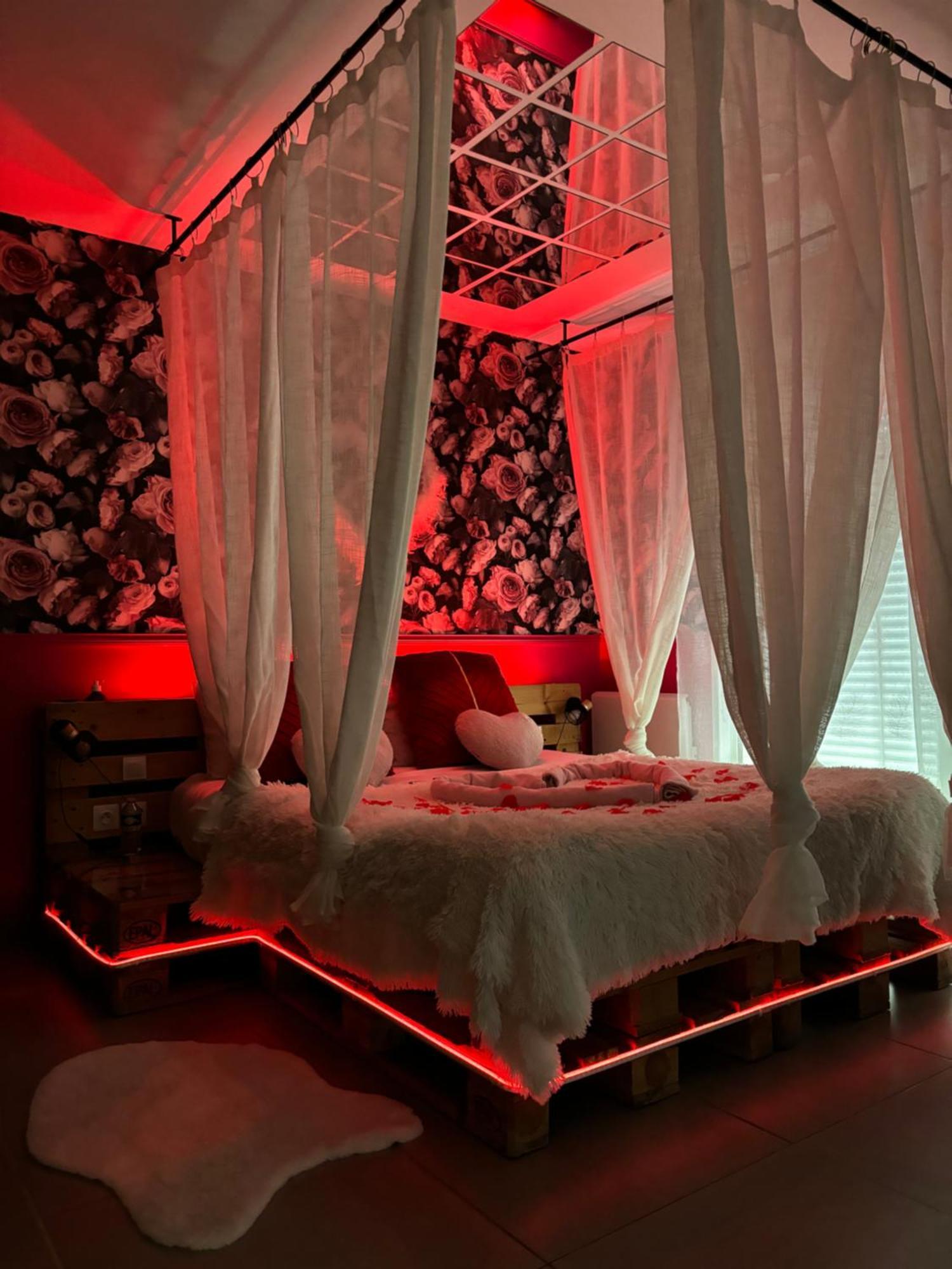 Apartment Romantisme Et Glamour 2 Avec , Clim Et Jardin Dijon